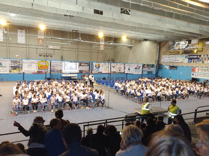 img_20190520_200029 img_20190520_200029