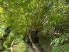 IMG-20240628-WA0014