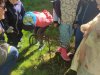 IMG_20240530_094933