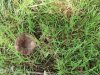 IMG_20240530_100718