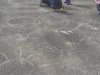 IMG_20240530_111713