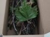IMG_20240530_122914